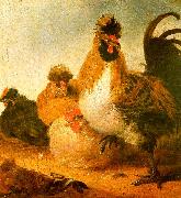 Aelbert Cuyp Rooster Hens oil painting picture wholesale
